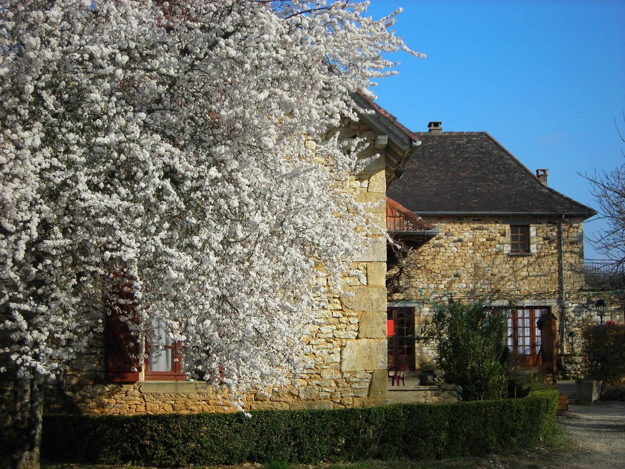 Hotel Chastrusse Nadaillac-de-Rouge Exterior photo